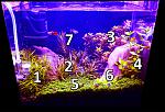    ,  http://www.aquaforum.ua/showthread.php?p=1812760