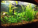 DSCF4751