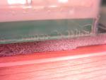 IMG 2558 1