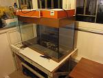 IMG 2565 1