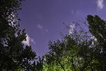 DSC 0052