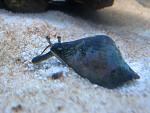 IMG 6462