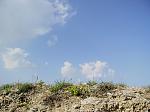 P1010067a