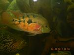 DSCN0547