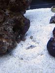 IMG 6485