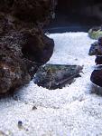 IMG 6474