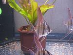 IMG 2914[1]