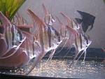 IMG 2919[1]