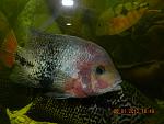 DSCN0542