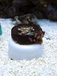 IMG 6549