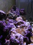 IMG 0402