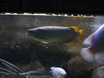 IMG 0845