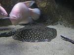 IMG 0843