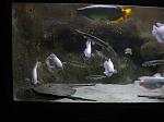 IMG 0840