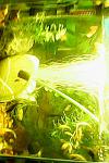 IMG0456A