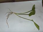 Image00002