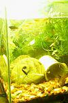 IMG0458A
