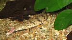 IMG 4473
