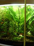 Image00004