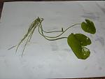 Image00004