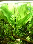 Image00002