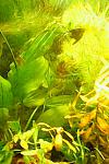 IMG0451A