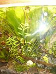 Image00001
