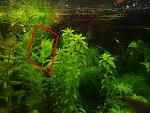 user8960 pic18795 1265584543