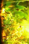 IMG0454A