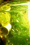 IMG0457A