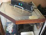 IMG 6783