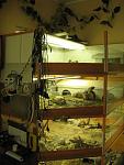 IMG 6787