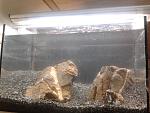 2012 04 01 12.02.32