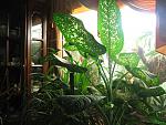 IMG 6788