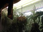 IMG 6789