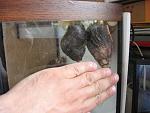 IMG 6784