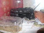 DSC06308
