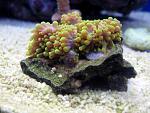 IMG 6778