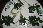 IMG 5221