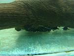 IMG 8717