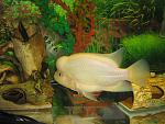 IMG 4741