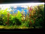 Photo 0061