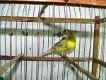IMG 8751