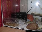 DSC06307