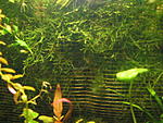 IMG 6491