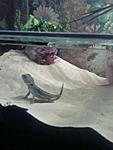 Photo 0006
