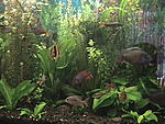 DSC01638