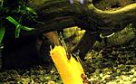 IMG 1503 2