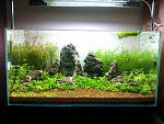 3 .   1     Osram 24W/Skywhite 880;   .     ....