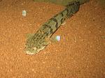 IMG 4616